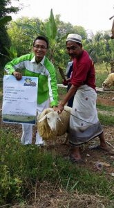 Ilustrasi: Uts. Abdurahim Arief, Pengurus Laz Sidogiri cabang Bekasi menerima kurban kambing