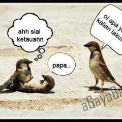Menggauli Istri Pasca Perzinahan