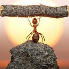 Semangat Mendobrak Perkara Mustahil