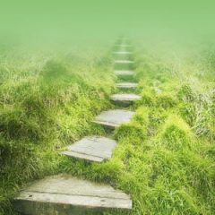 Pesantren, Tempat Kaum Sufi