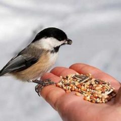 Karena Bersedekah Hartapun Bertambah