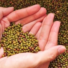 Istri Rewel yang Membawa Barakah