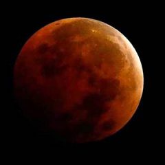 Santri Sidogiri Saksikan Gerhana Bulan Parsial Jelang Subuh