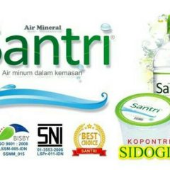 Profil Singkat AMDK Santri