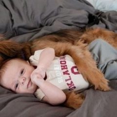 Anak Blasteran Manusia dan Anjing