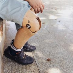 Kaki Palsu
