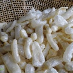 Rambak dari Kulit Bangkai