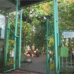 Santri Bantu PMM Bersihkan Masjid dan Pesarean